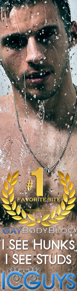 ICGuys 160x600
