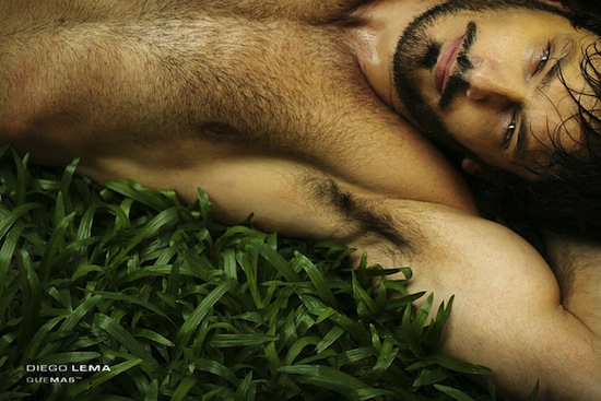 Hairy Hunk by Diego Lema Diego Lema 1 The Hot Rugged Male By Diego Lema