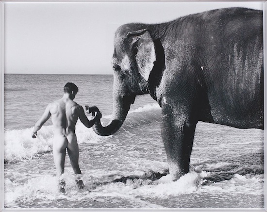 Bruce Weber Bruce Weber 7 Some Classic Hunky Muscle By Bruce Weber